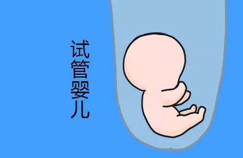 同性供卵代怀服务怎么收费